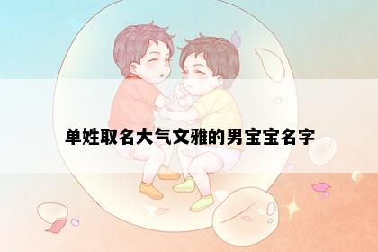 单姓取名大气文雅的男宝宝名字